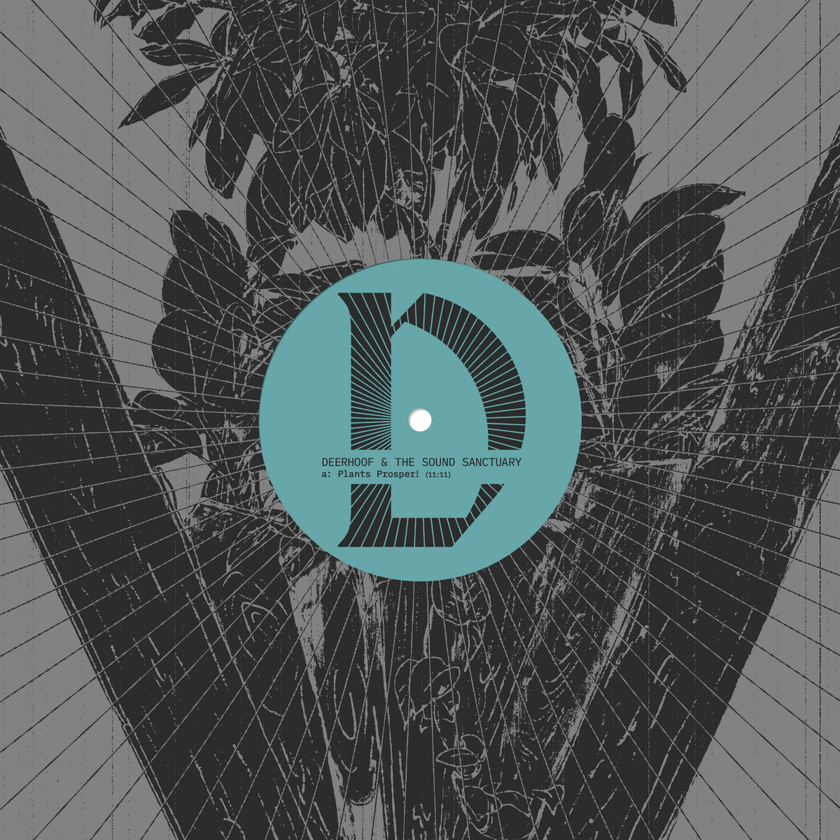 DEERHOOF & THE SOUND SANCTUARY 'Deerhoof & The Sound Sanctuary'