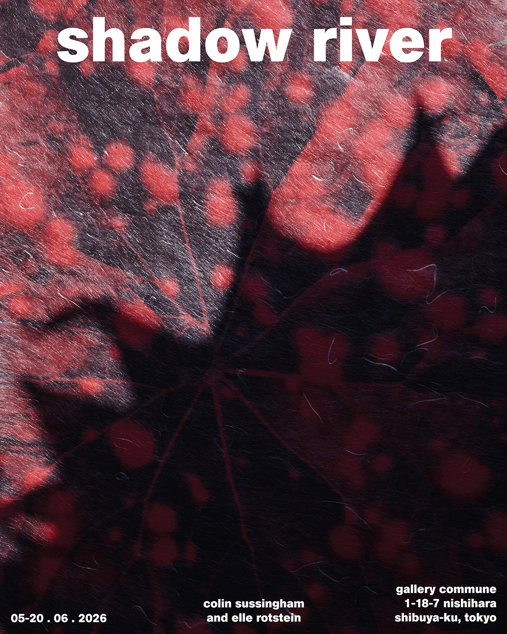 Colin Sussingham & Elle Rotstein "shadow river"