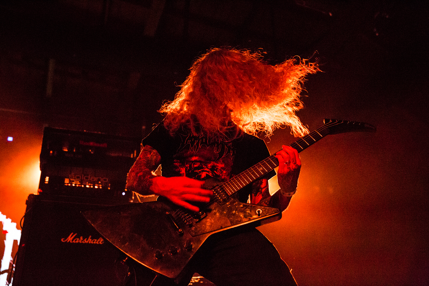 Greg Wilkinson | Photo ©Liana Marie