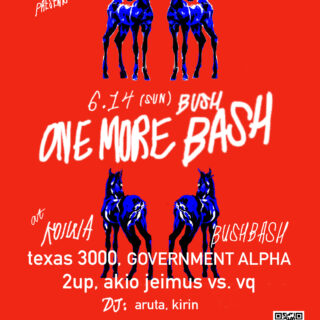 Texas 3000 presents "ONE MORE BUSHBASH"