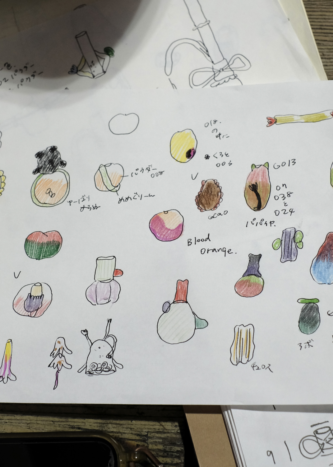 Yuri Iwamoto 個展「Living Tree」出展予定作品スケッチ