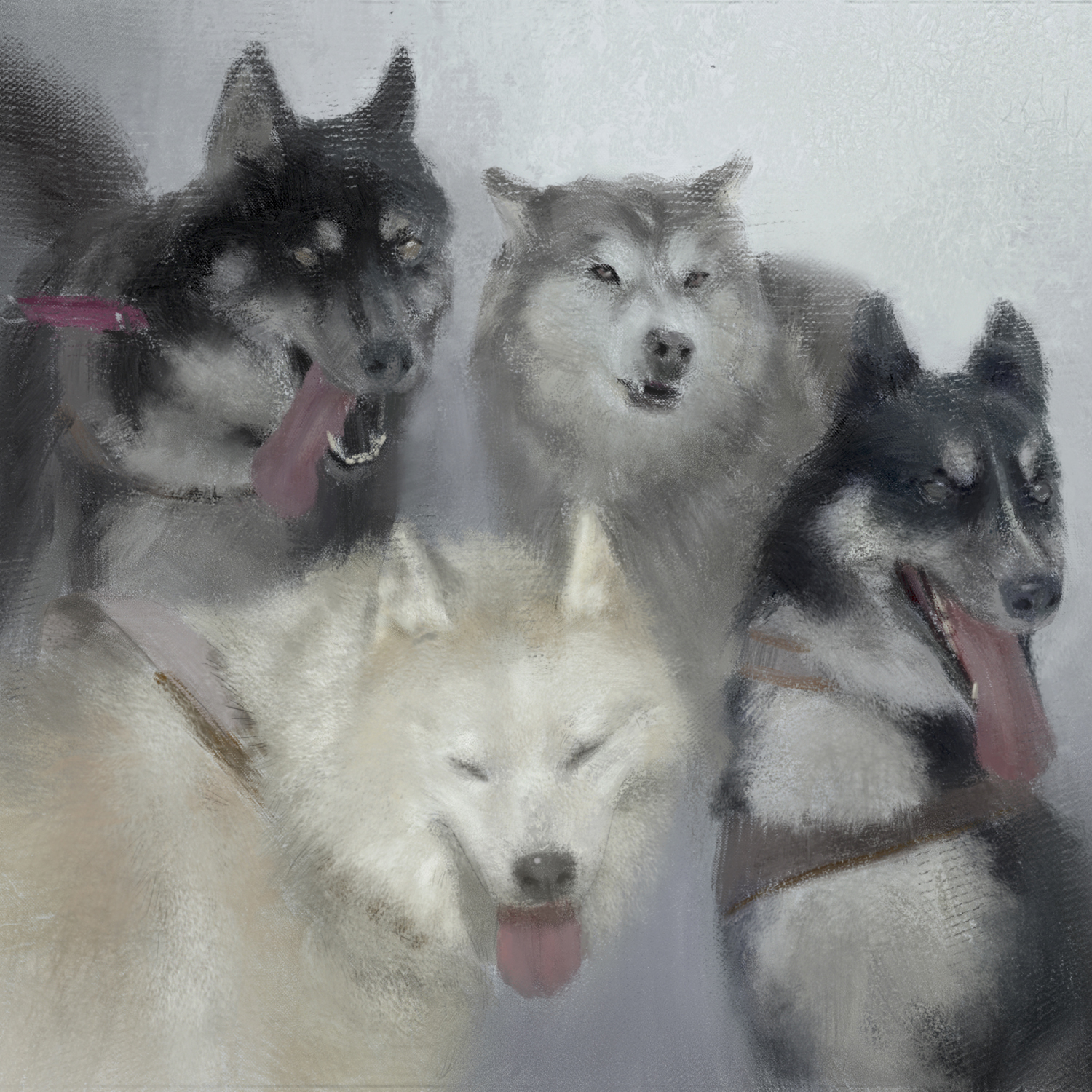 Romantic '犬ぞり'