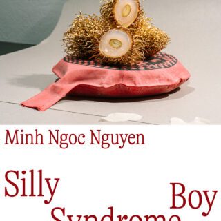Minh Ngoc Nguyen"Silly Boy Syndrome"