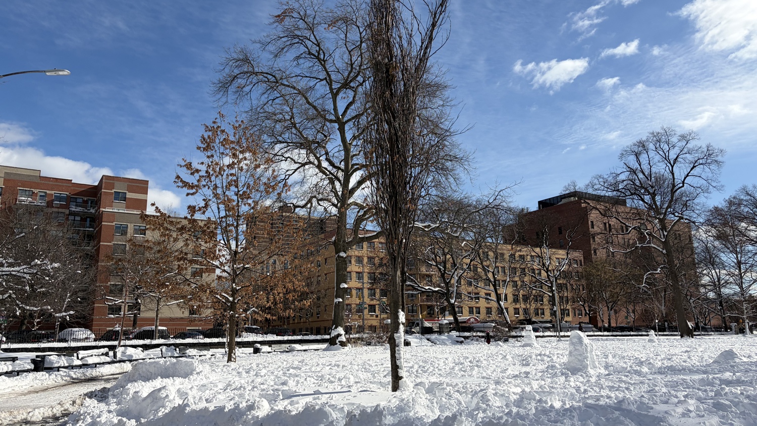 大雪後のMarcus Garvey Park | Photo ©RUMINZ