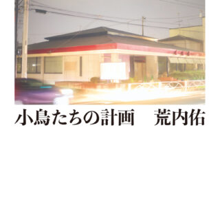 荒内 佑『小鳥たちの計画』