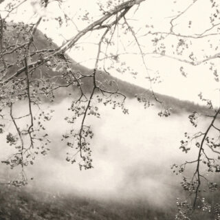 The Untitled, 2022, Silver gelatin print © Feiyi Wen