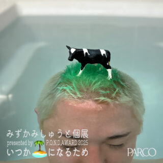 みずかみしゅうと