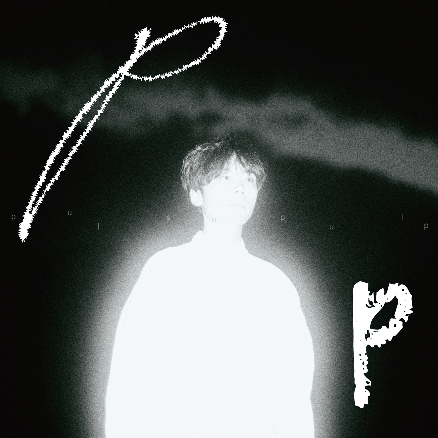 井戸健人『pulse pulp』