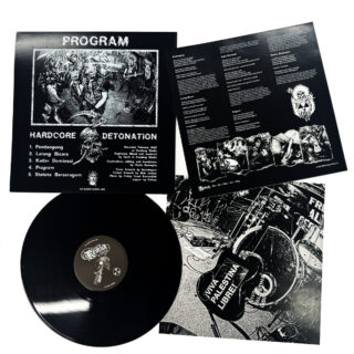 REMUK 'Program' Vinyl LP