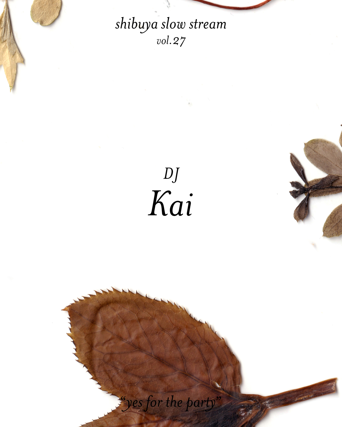 shibuya slow stream vol.27 「yes for the party」 | Kai