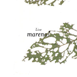 shibuya slow stream vol.27 「yes for the party」 | mareno!