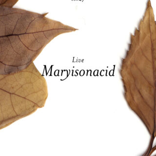 shibuya slow stream vol.27 「yes for the party」 | Maryisonacid