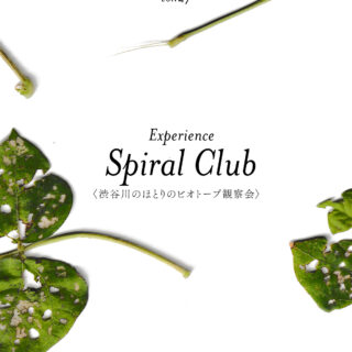 shibuya slow stream vol.27 「yes for the party」 | Spiral Club